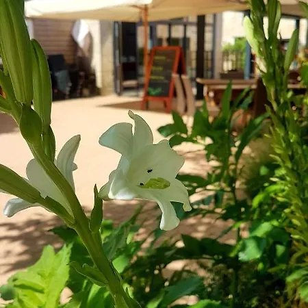 Le Petit Courault Maison d'hôtes