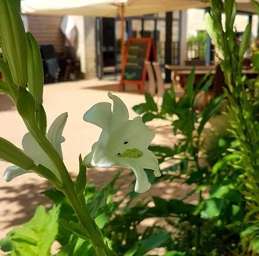 Le Petit Courault 招待所